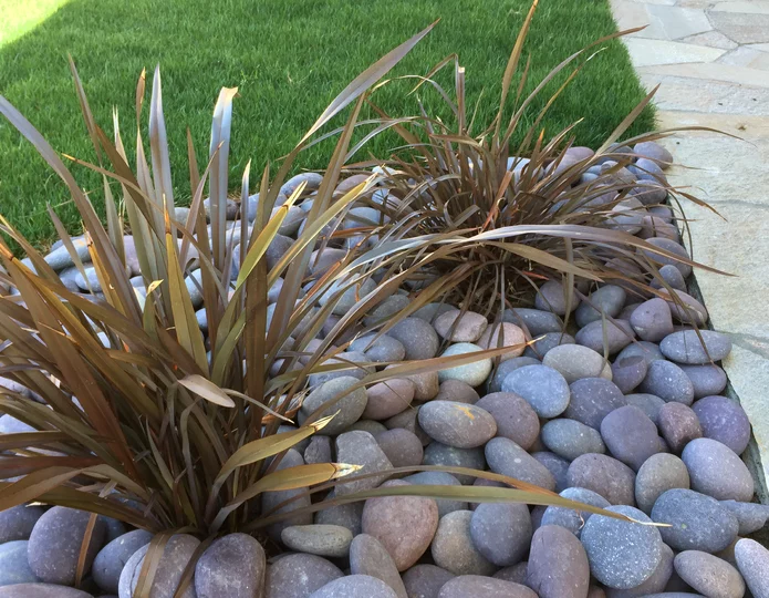 Roja Mexican Beach Pebble